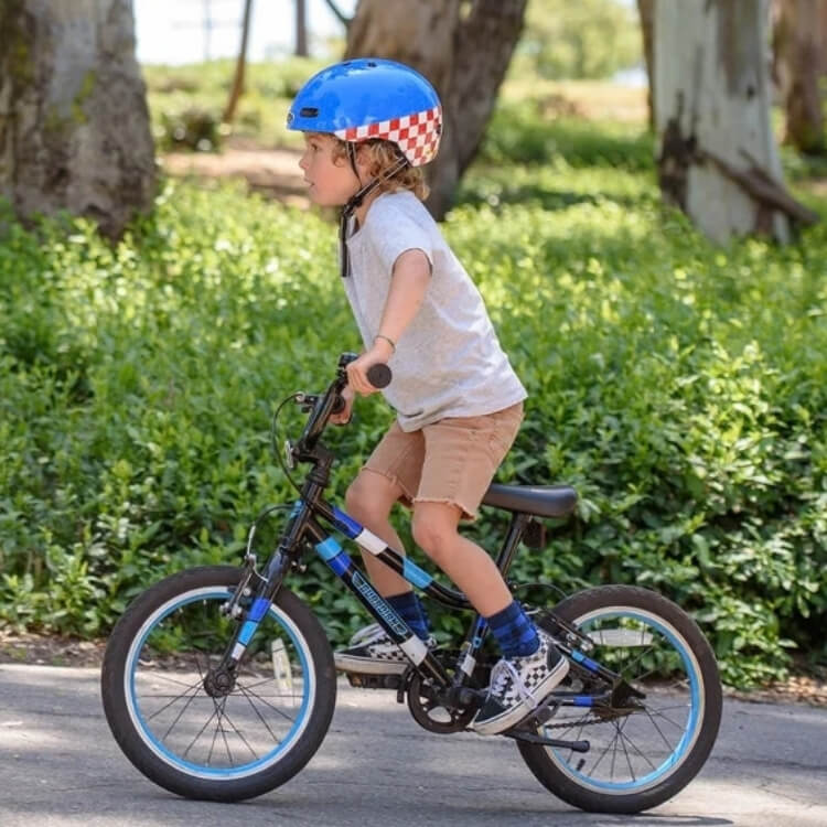 Guardian Bike