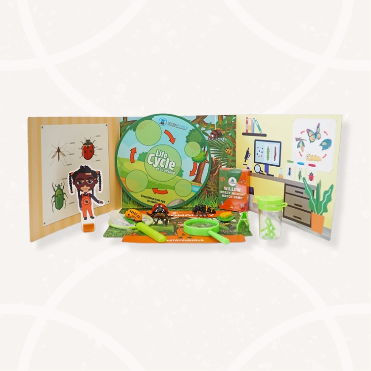 Entomology STEAM Kit