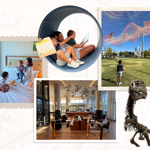 frisco family travel