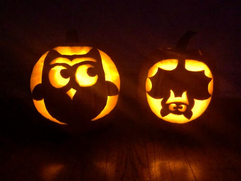 bat and owl pumpkins