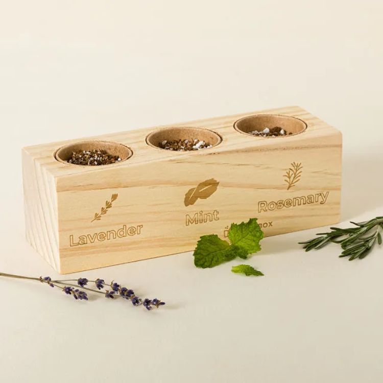 Cocktail Garden Herb Starter Set