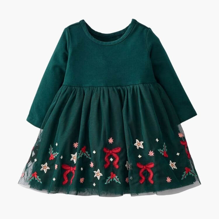 Tulle Embroidered Dress