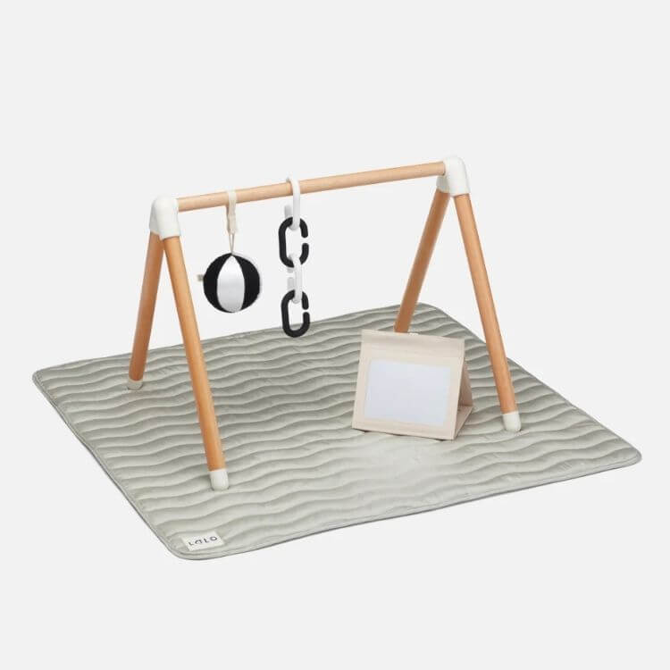 The Play Gym