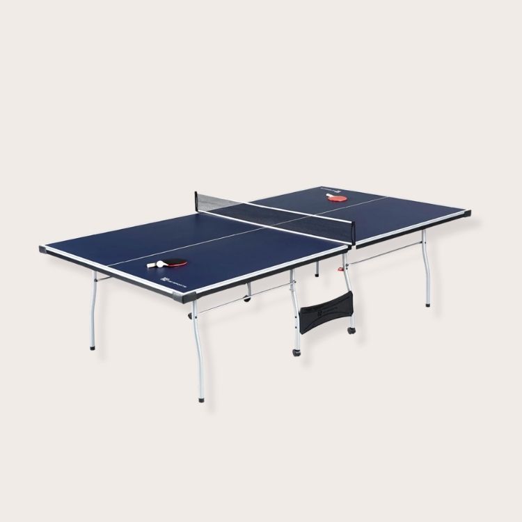 Ping Pong Table