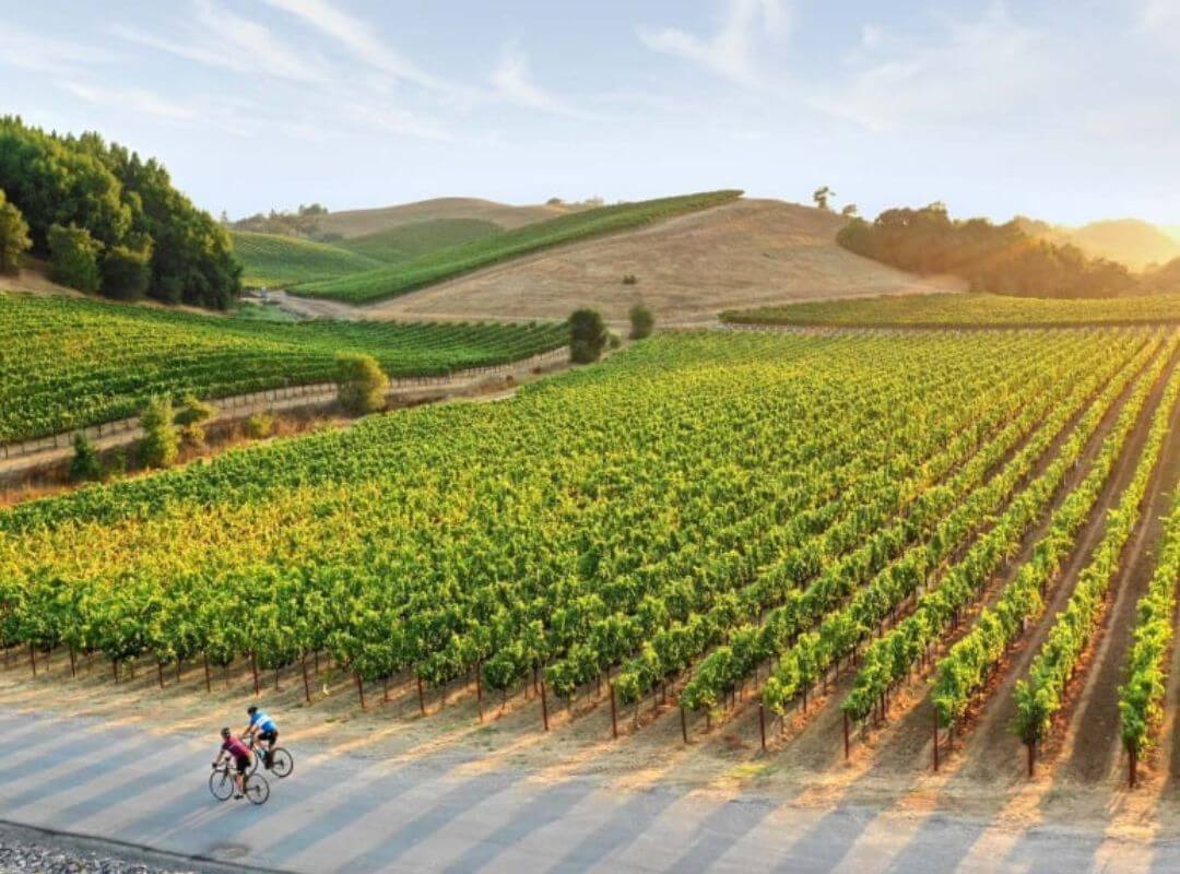 sonoma california 40th birthday trip ideas