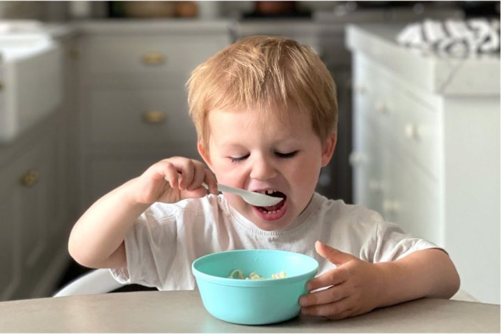 new food pyramid 2026 dietary guidelines for americans