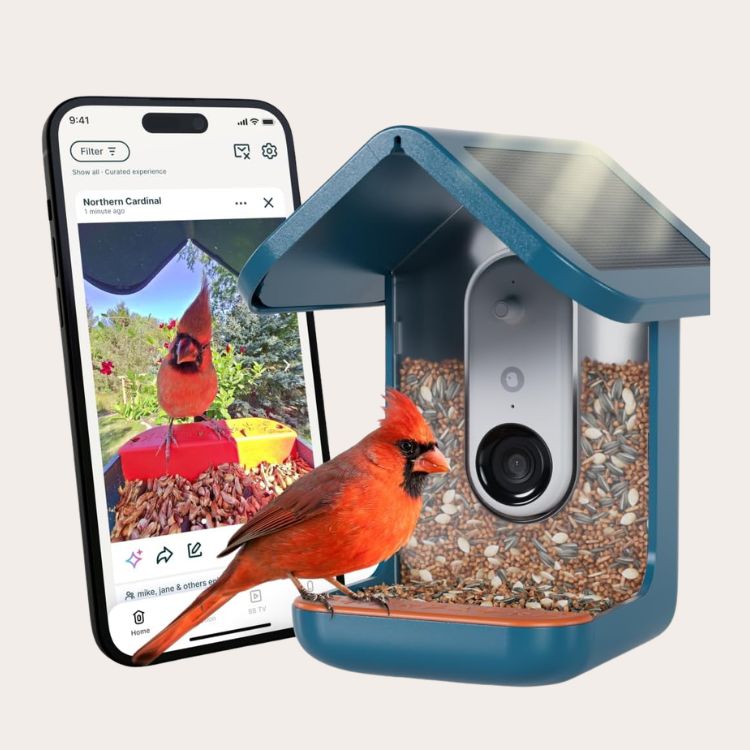 Birdbuddy Pro Smart Bird Feeder