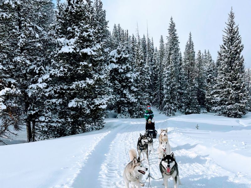 Colorado birthday trip for kids