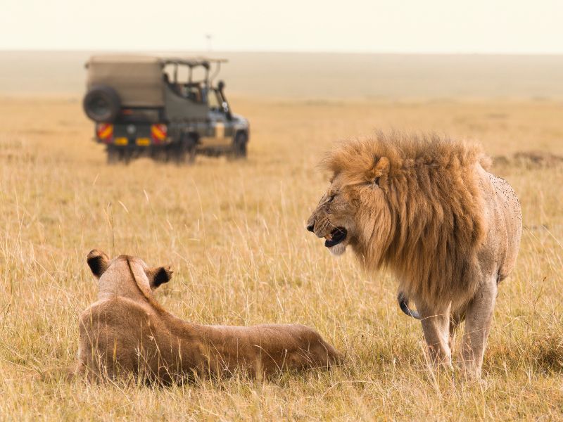 african safari birthday trip for 13 year old