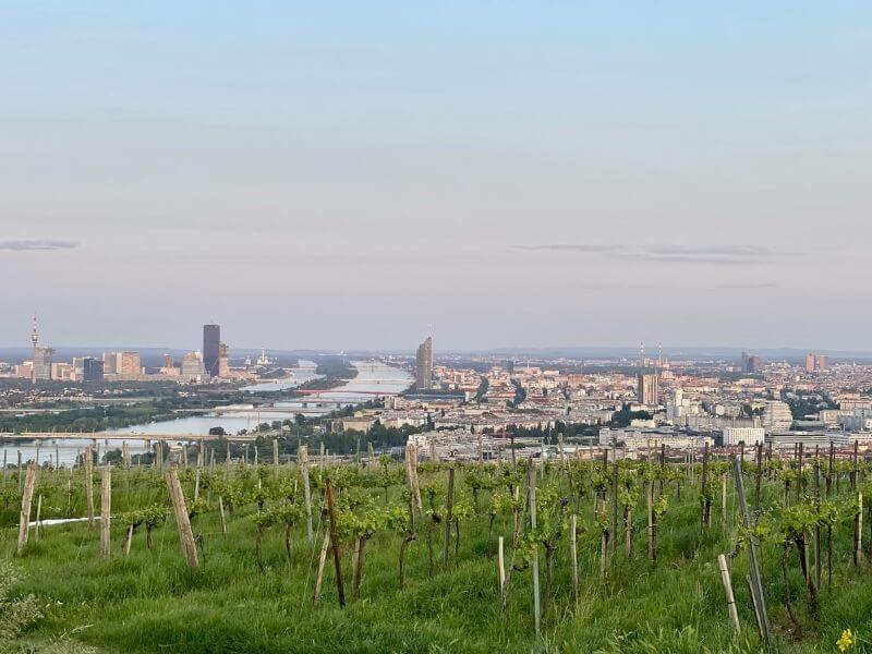 vienna with kids travel guide