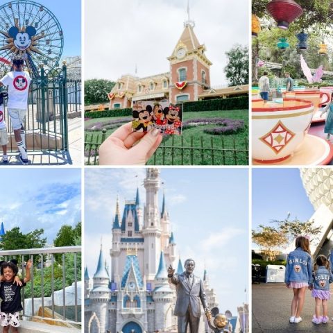disneyland vs disney world