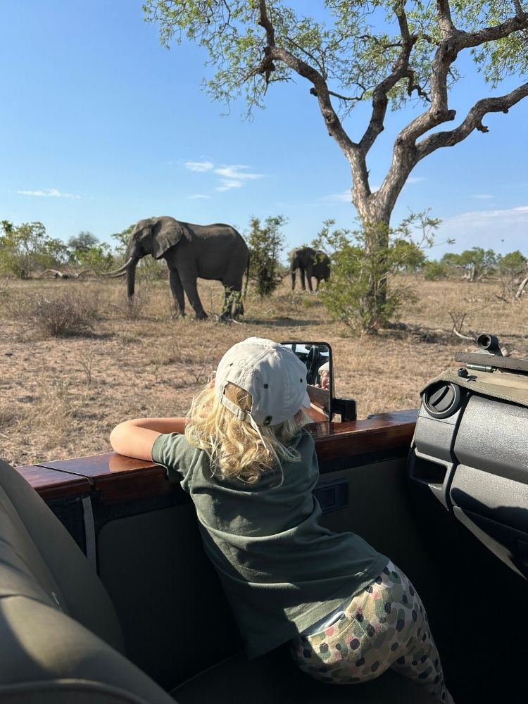 toddler on a family vacation