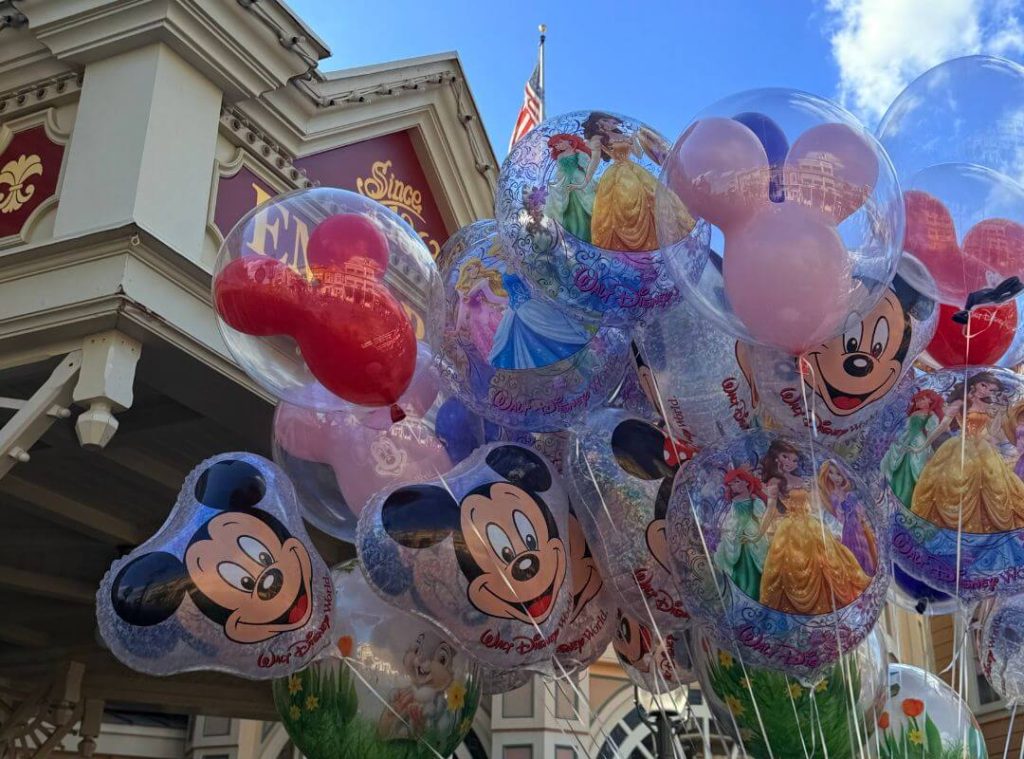 disney vs. universal park photos