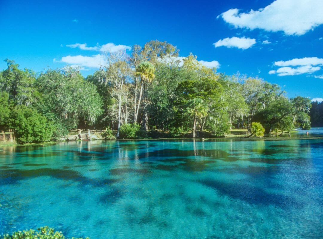 ocala florida