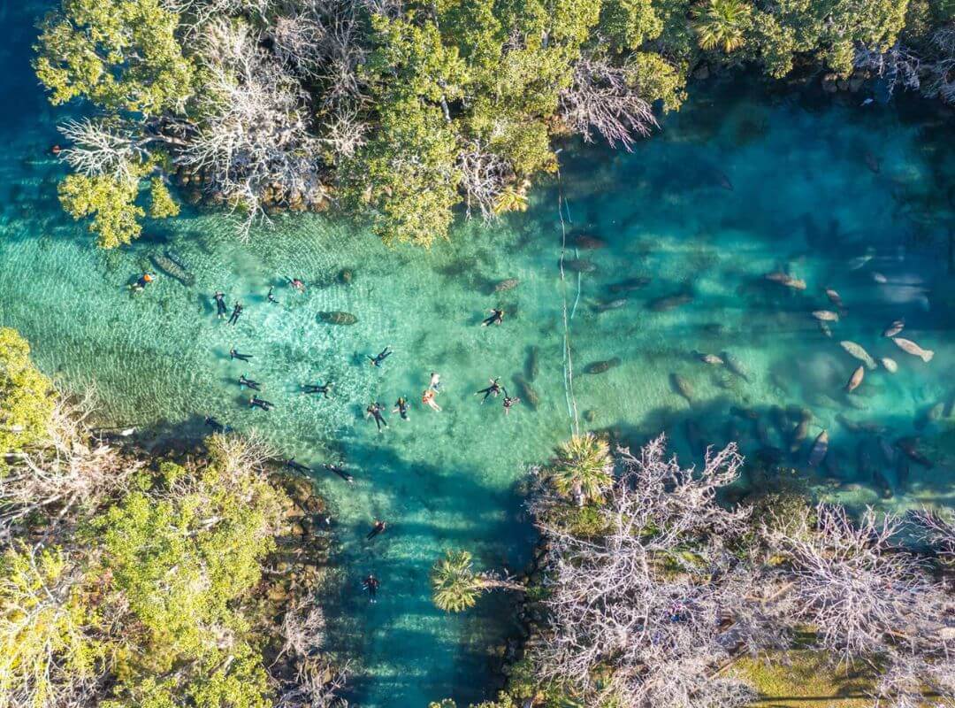 crystal river florida