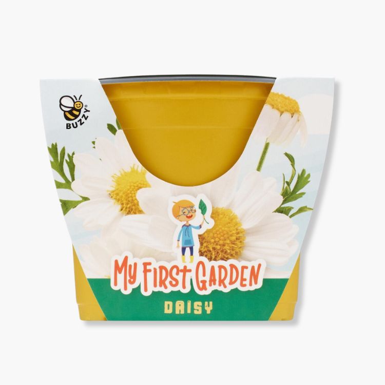 My First Sunflower Grow Kit