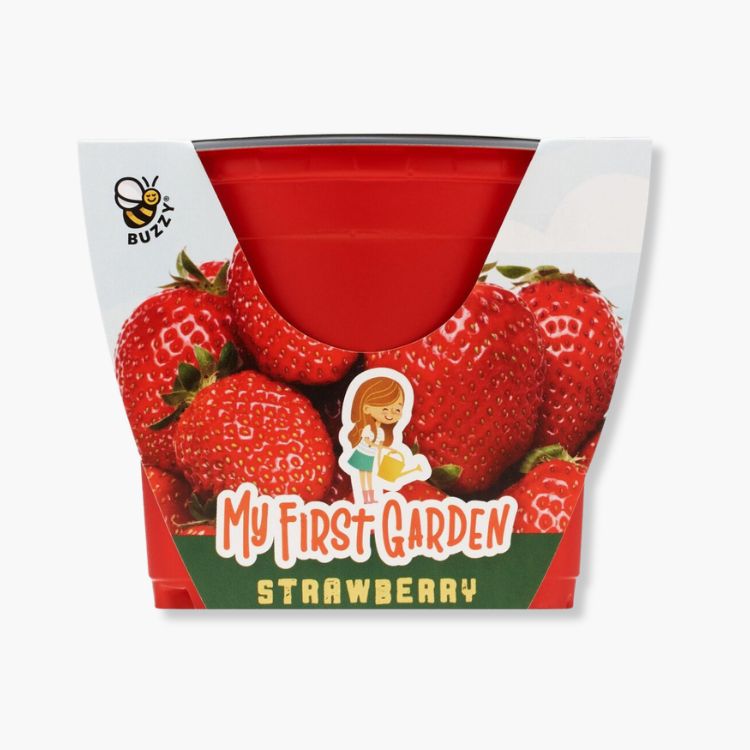 My First Strawberry Grow Kit