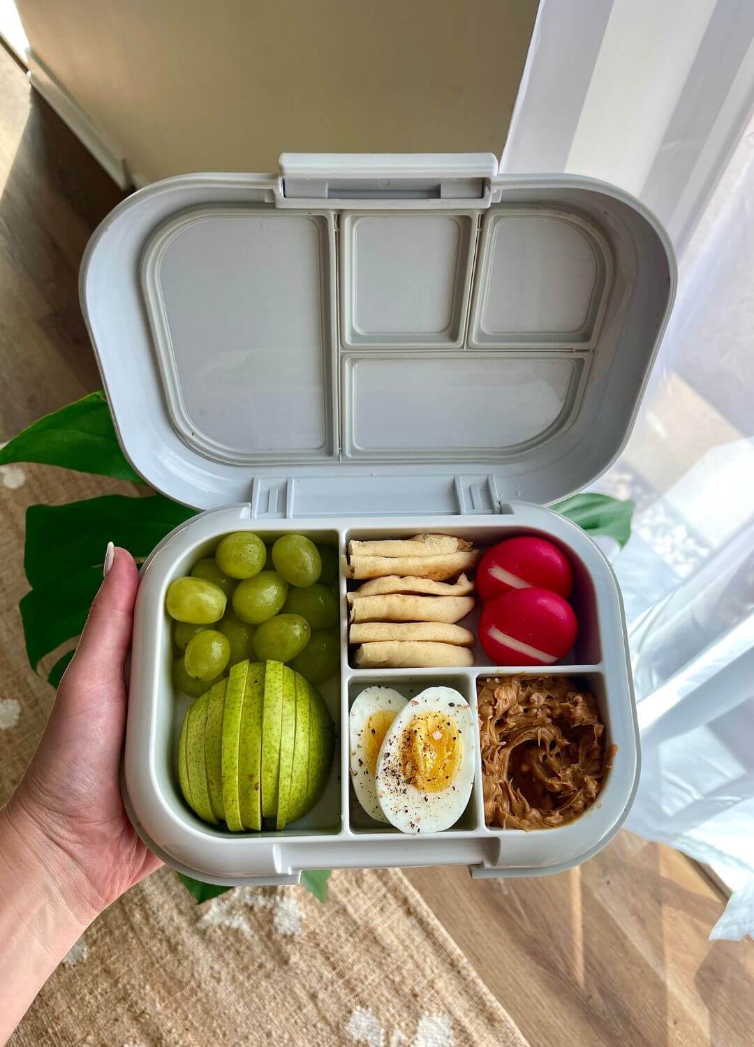 protein bistro box
