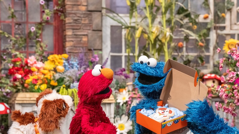best pbs kids shows