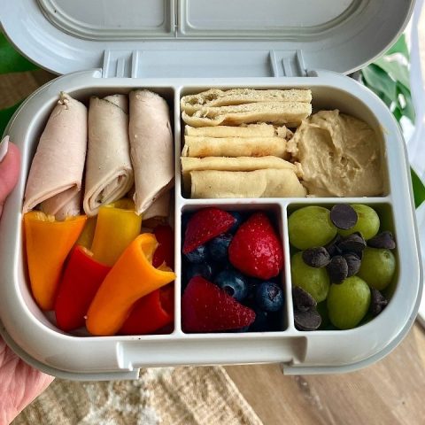 school lunch ideas for kids