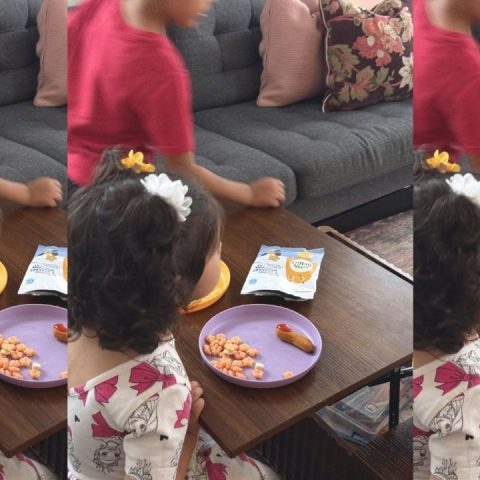 healthy toddler snacks little bellies