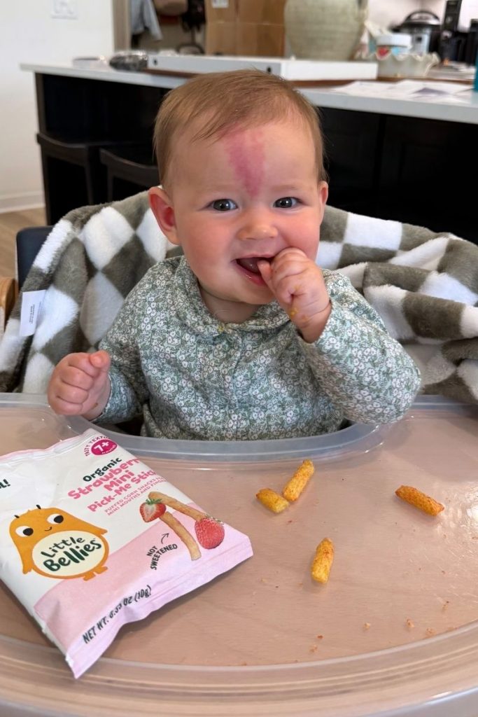 healthy toddler snacks little bellies