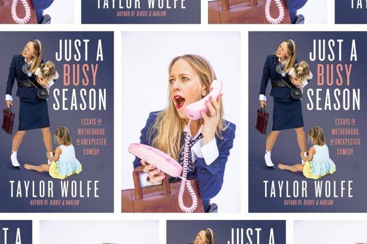 just a busy season book review