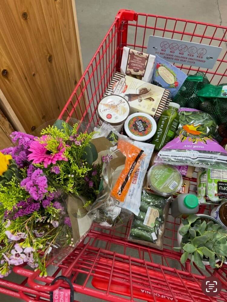 grocery delivery parenting village