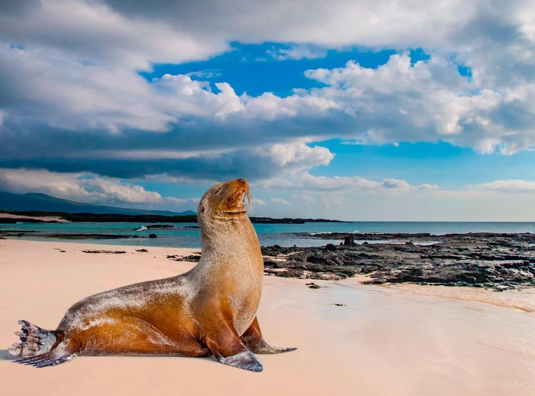 family adventure trips galapagos islands