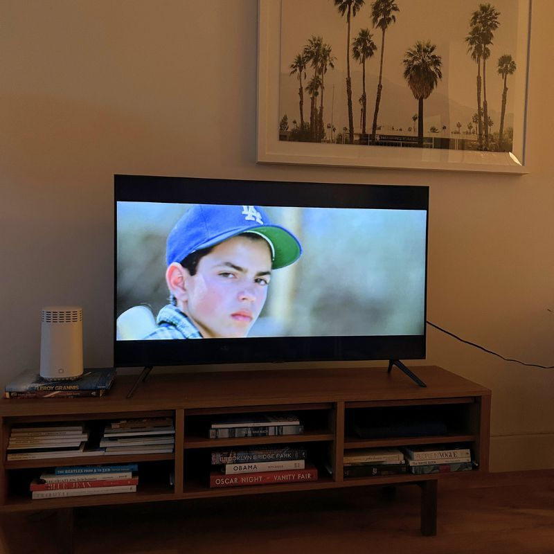 the sandlot