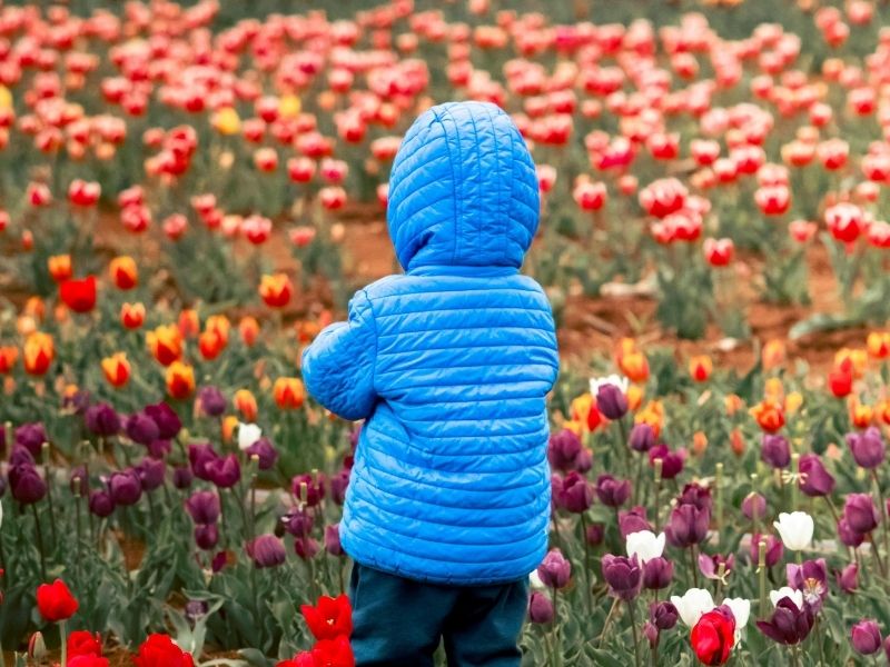 tulip child personality type