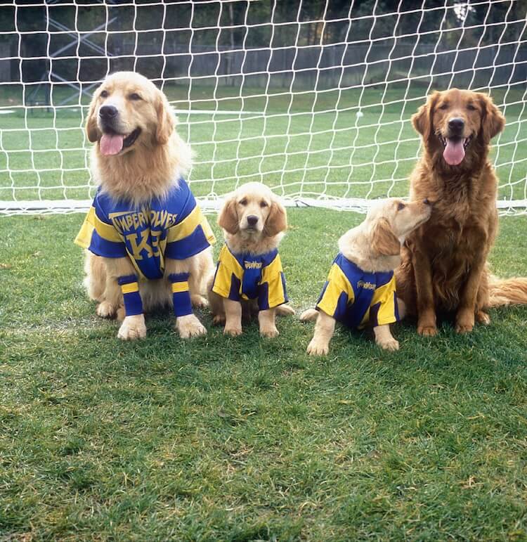 best sports movies for kids air bud world pup