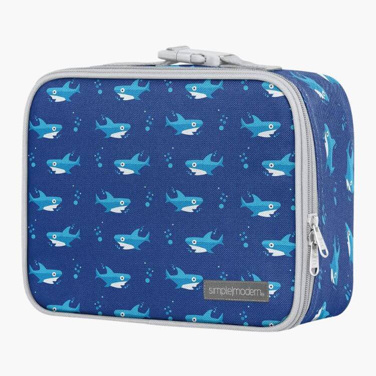 Insulated Lunch Bag