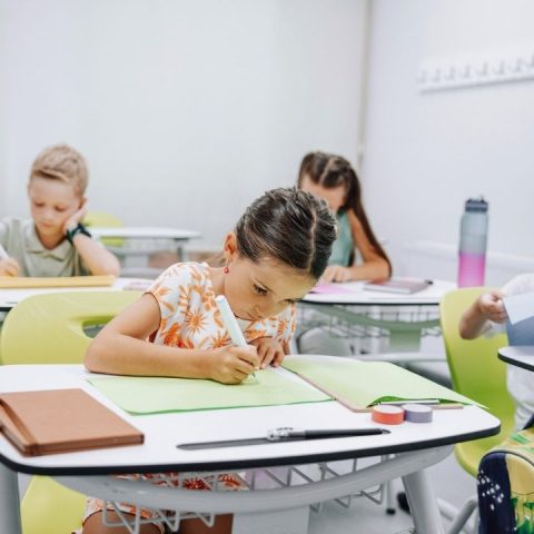 private vs public vs homeschool school options