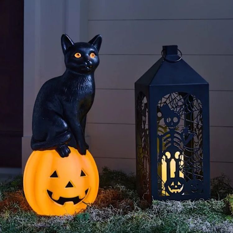 24" Black Cat and Pumpkin Blow Mold