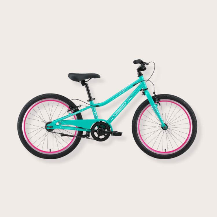 Guardian Bike