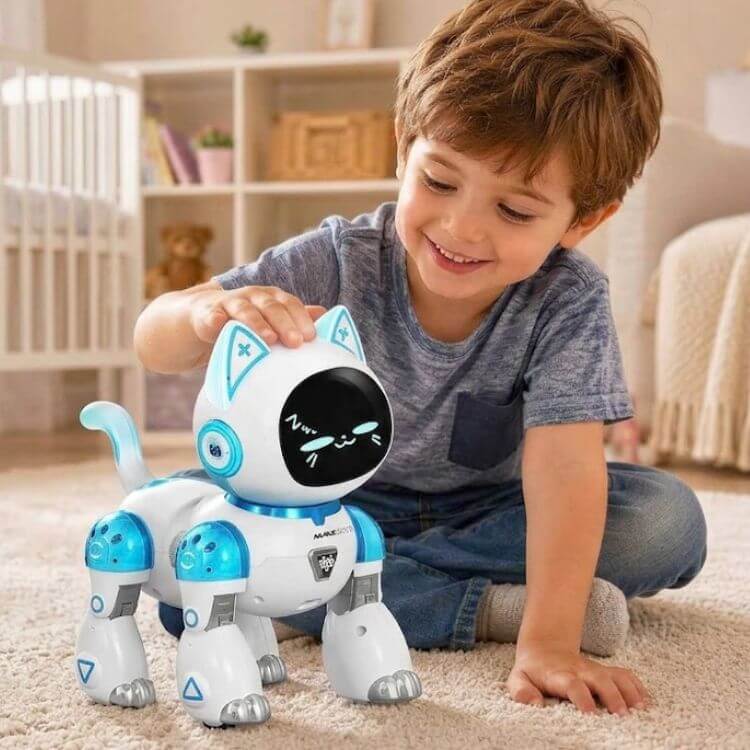 Robot Cat Toy