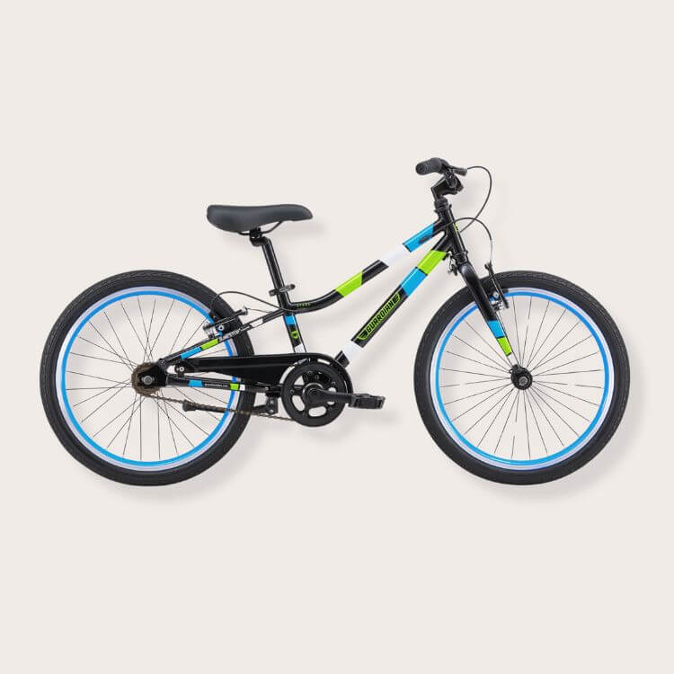 20 Inch Small Bike
