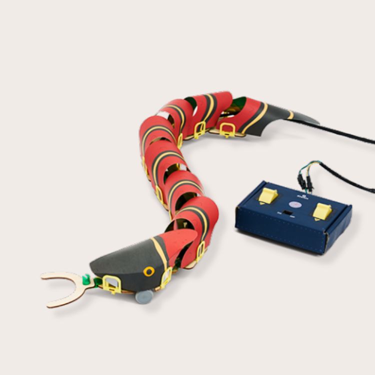 Robot Snake Craft Kit
