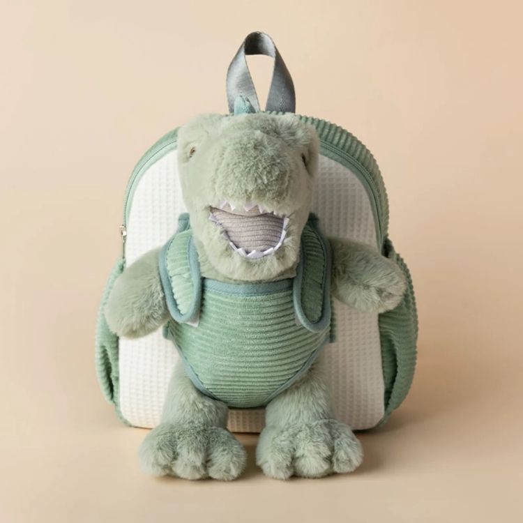 Hug & Go Plush Toy & Backpack