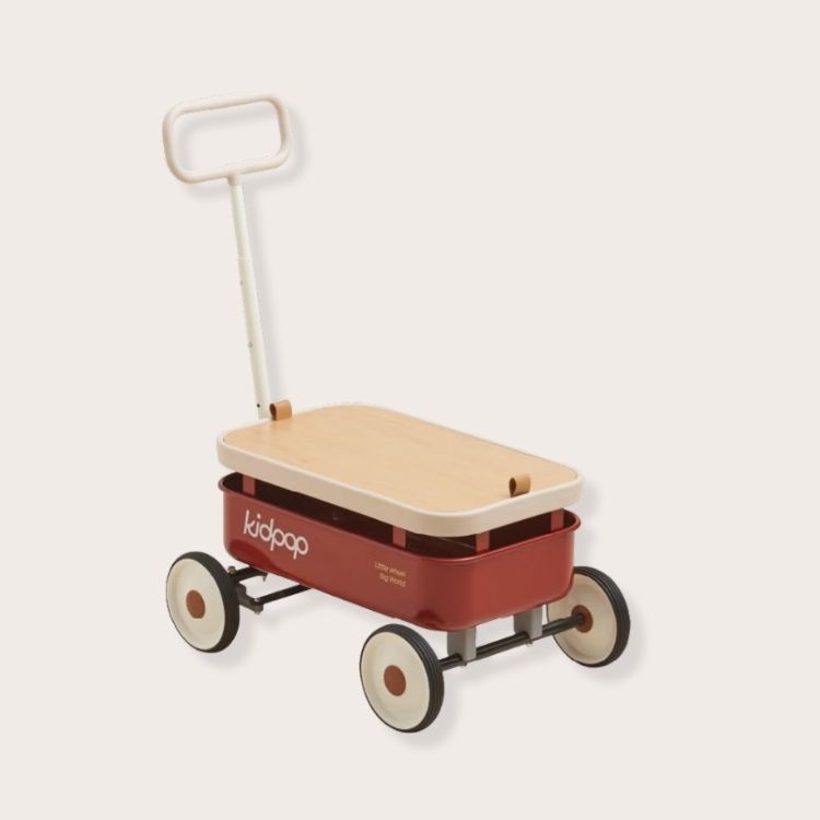 3-in-1 Pull-Along Wagon