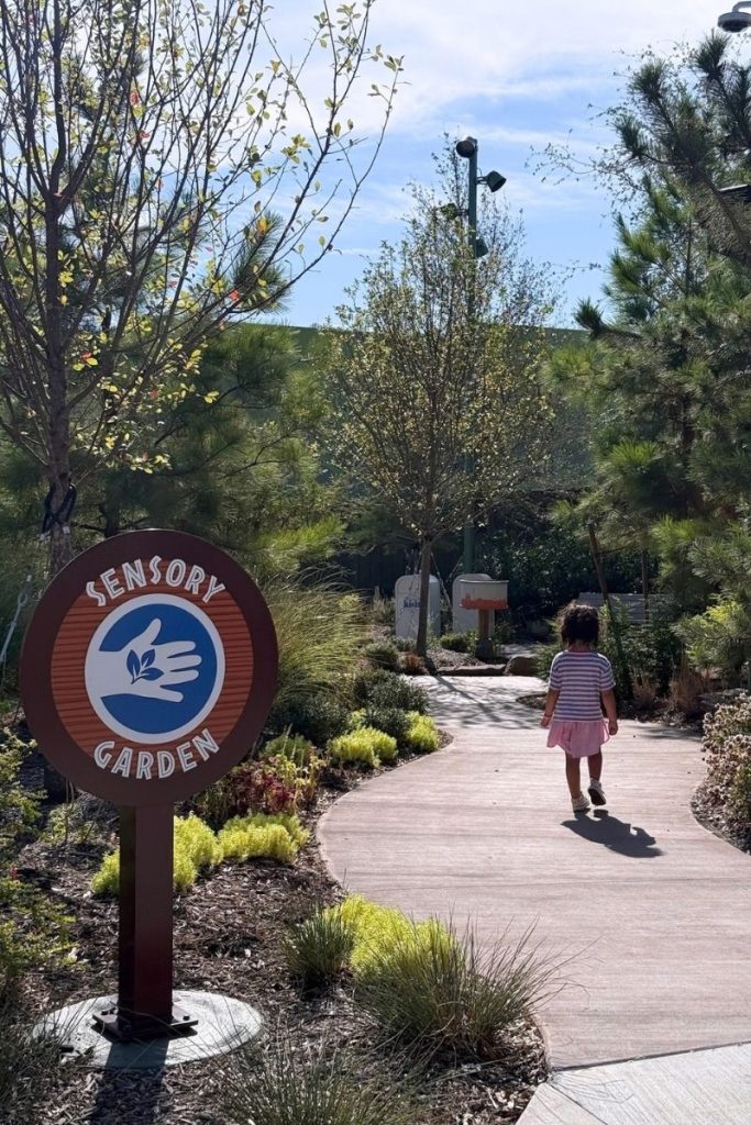 frisco texas universal kids review